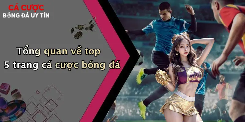 Tổng quan về top 5 trang cá cược bóng đá